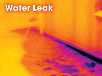 Water leak during mold remediation