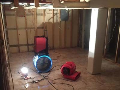 EcoClean Mold Removal and Remediation in Montgomery