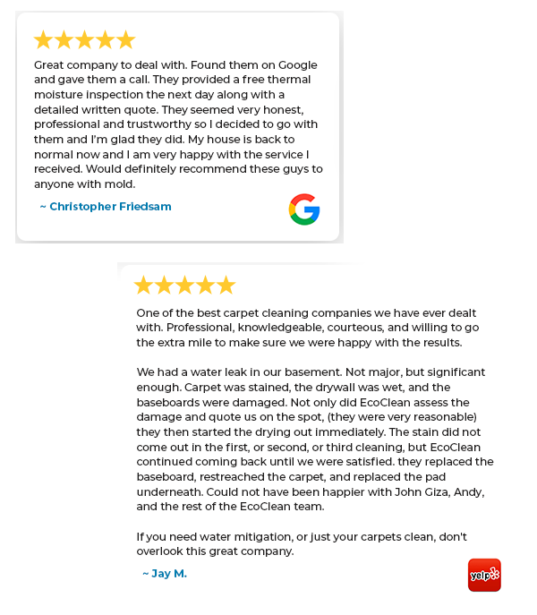 EcoClean Mold Removal and Remediation in Darien