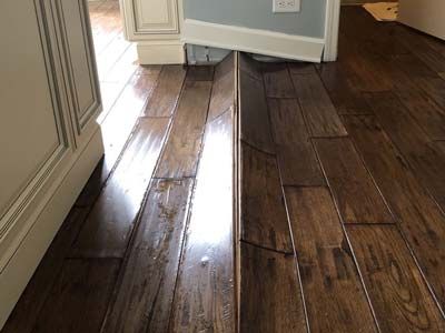 EcoClean Mold Removal in Darien