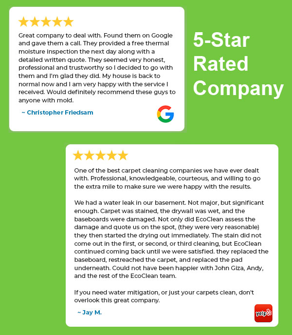 EcoClean Mold Removal and Remediation in Naperville